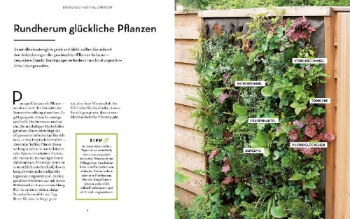 Buchcover und Innenansicht für das Buch: Vertikal gärtnern