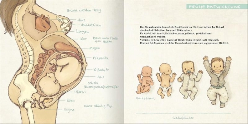 Buchcover und Innenansicht für das Buch: Der MüffFloh