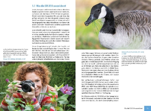 Buchcover und Innenansicht für das Buch: Canon EOS R10