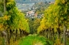 Buchcover und Innenansicht für das Buch: Sächsisches Allerlei