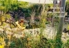 Buchcover und Innenansicht für das Buch: Mein Garten wird ein Naturgarten