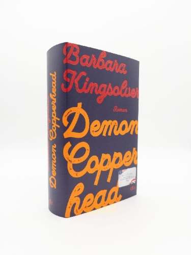 Buchcover und Innenansicht für das Buch: Demon Copperhead