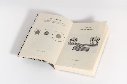 Buchcover und Innenansicht für das Buch: Optische Rätsel - Über 200 Rätsel für Augen und Verstand