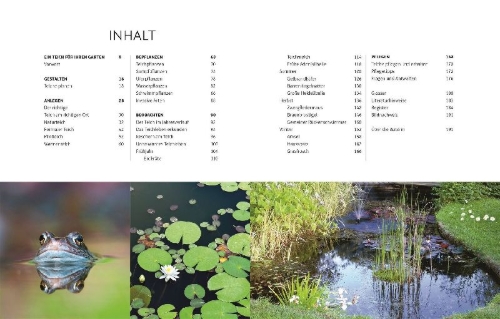 Buchcover und Innenansicht für das Buch: Leben am Gartenteich