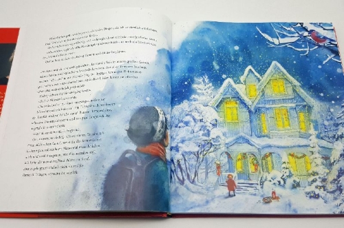 Buchcover und Innenansicht für das Buch: Snøsøsteren