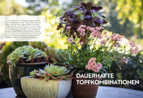 Buchcover und Innenansicht für das Buch: Mein Garten wächst im Topf
