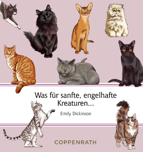 Buchcover und Innenansicht für das Buch: Katzen