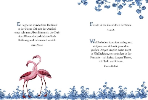 Buchcover und Innenansicht für das Buch: Gute Besserung