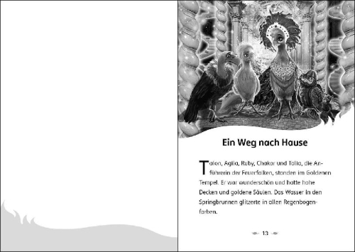 Buchcover und Innenansicht für das Buch: The Last Firehawk - The Secret Maze