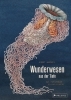 Buchcover und Innenansicht für das Buch: Wunderwesen aus der Tiefe. Ernst Haeckel