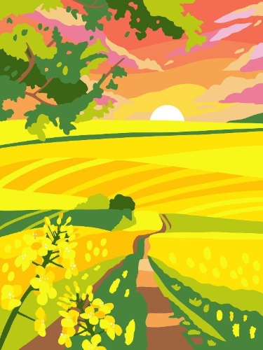Buchcover und Innenansicht für das Buch: Colorful Surprise - Blumen
