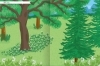 Buchcover und Innenansicht für das Buch: Naturforscher-Kids - Stickerheft Im Wald