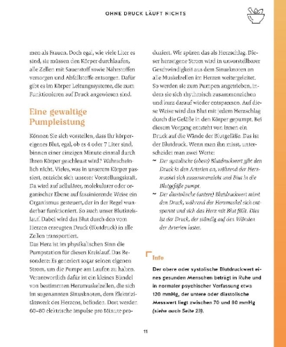 Buchcover und Innenansicht für das Buch: Meine Gesundheitsretter aus der Natur gegen Bluthochdruck