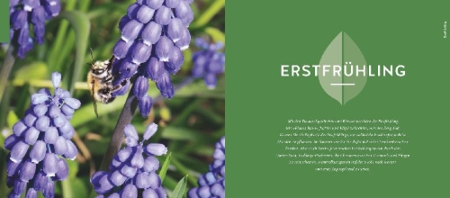 Buchcover und Innenansicht für das Buch: Quickfinder Artenvielfalt im Gartenjahr