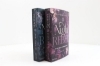 Buchcover und Innenansicht für das Buch: Wicked Bite (Night Rebel 2)