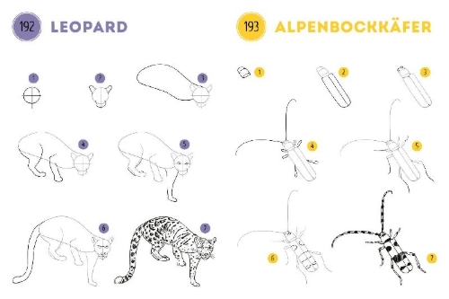 Buchcover und Innenansicht für das Buch: Mes 300 modèles à dessiner en pas à pas animaux