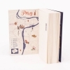 Buchcover und Innenansicht für das Buch: A Little Place in Prague