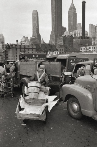 Buchcover und Innenansicht für das Buch: Elliott Erwitt's New York