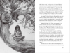 Buchcover und Innenansicht für das Buch: The Labyrinth of the Faun