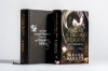 Buchcover und Innenansicht für das Buch: The Ballad of Falling Dragons