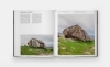 Buchcover und Innenansicht für das Buch: Stone Houses