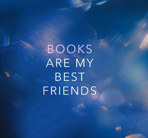 Buchcover und Innenansicht für das Buch: Crazy Stupid Bromance