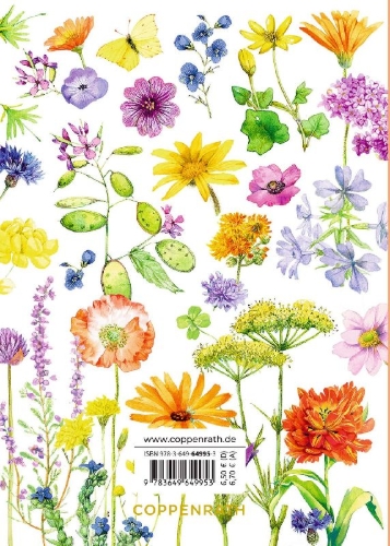 Buchcover und Innenansicht für das Buch: Zum Geburtstag alles Gute