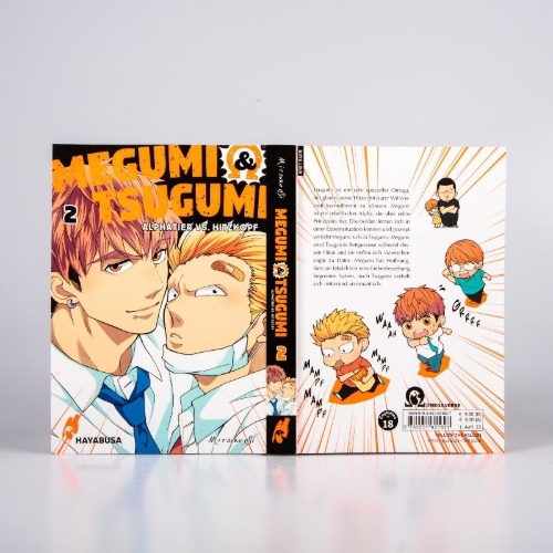 Buchcover und Innenansicht für das Buch: Megumi to Tsugumi