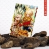 Buchcover und Innenansicht für das Buch: Dr. Stone