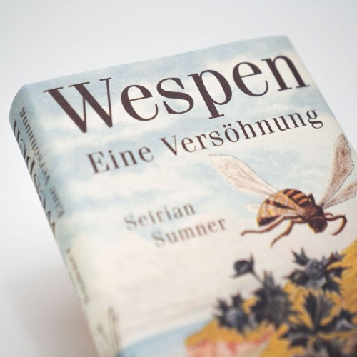 Buchcover und Innenansicht für das Buch: Endless Forms