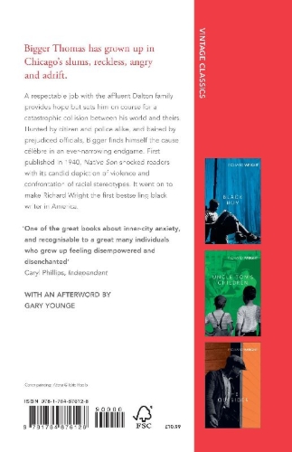 Buchcover und Innenansicht für das Buch: Native Son