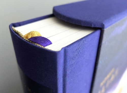 Buchcover und Innenansicht für das Buch: Ilias