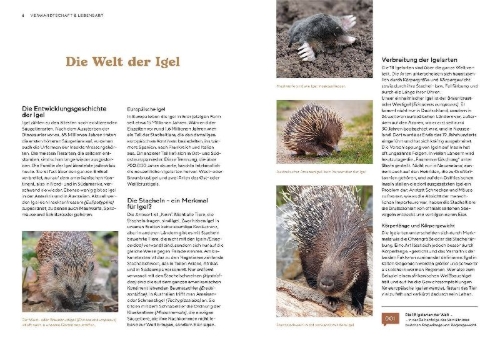 Buchcover und Innenansicht für das Buch: Igel im Garten