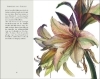 Buchcover und Innenansicht für das Buch: Überwältigende Blüten
