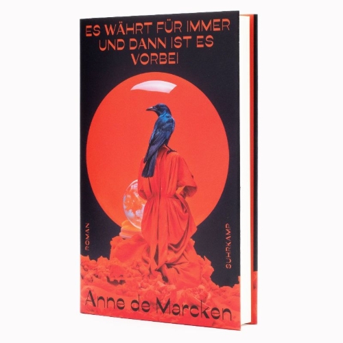 Buchcover und Innenansicht für das Buch: It Lasts Forever And Then It's Over