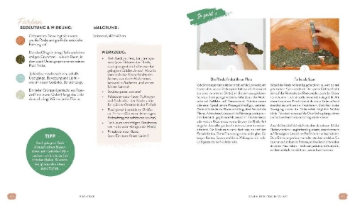 Buchcover und Innenansicht für das Buch: Frei und fließend malen