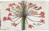 Buchcover und Innenansicht für das Buch: Redouté. The Book of Flowers