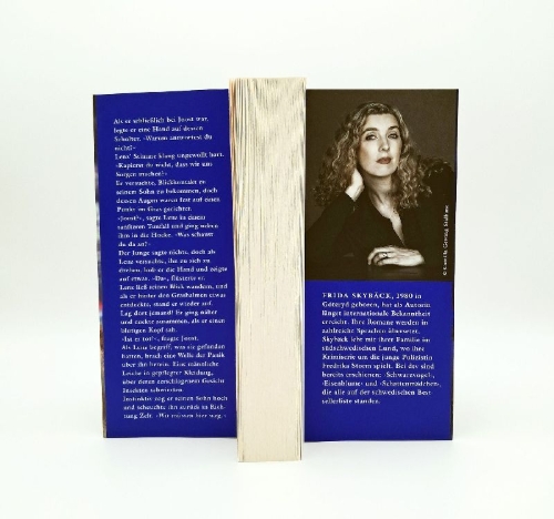 Buchcover und Innenansicht für das Buch: Djävulsring