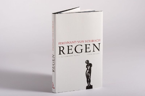 Buchcover und Innenansicht für das Buch: Regen