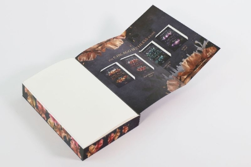 Buchcover und Innenansicht für das Buch: Chichago Ruthless - Dante