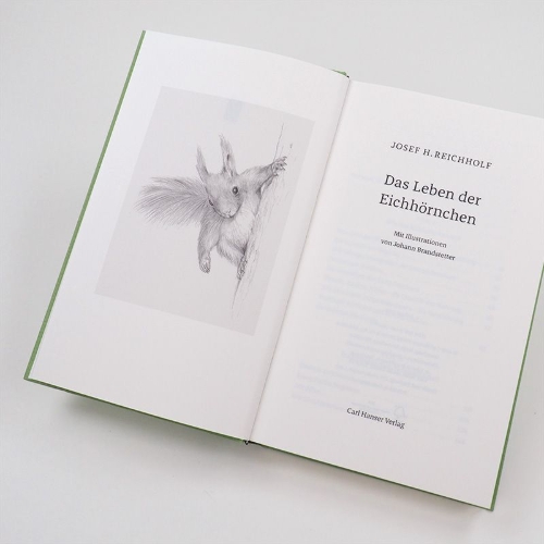 Buchcover und Innenansicht für das Buch: Das Leben der Eichhörnchen
