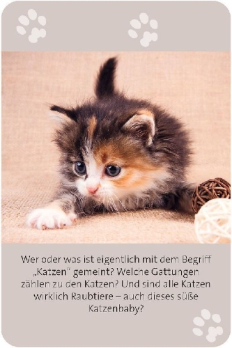 Buchcover und Innenansicht für das Buch: Das große Katzen Quiz