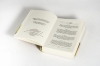 Buchcover und Innenansicht für das Buch: Odyssee