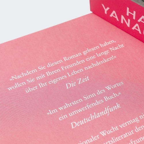 Buchcover und Innenansicht für das Buch: A Litlle Life