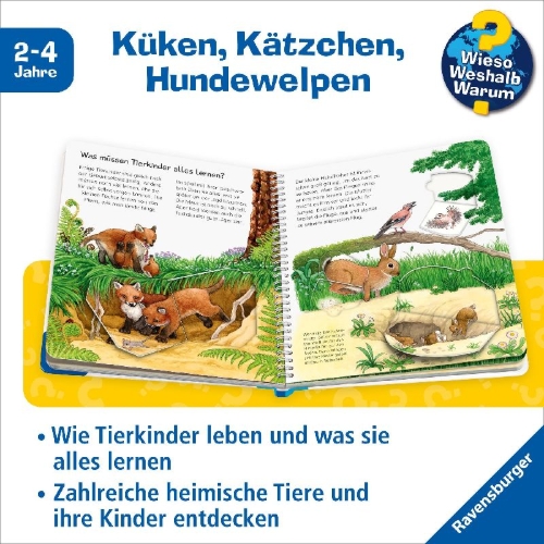 Buchcover und Innenansicht für das Buch: Wieso? Weshalb? Warum? junior, Band 15: Unsere Tierkinder