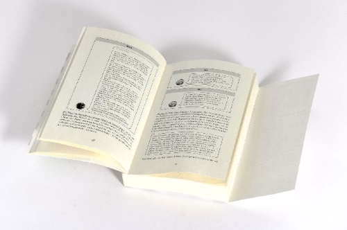Buchcover und Innenansicht für das Buch: The 5 second rule