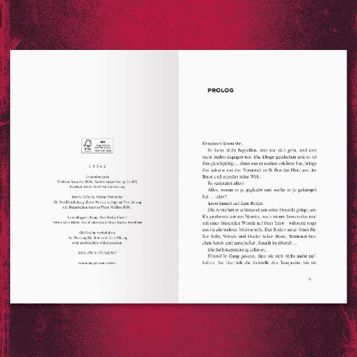 Buchcover und Innenansicht für das Buch: Timelock, Band 3 - Zeitmeister
