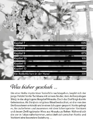 Buchcover und Innenansicht für das Buch: Im Schleier der Nacht 02