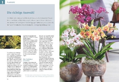 Buchcover und Innenansicht für das Buch: Orchideen pflegen