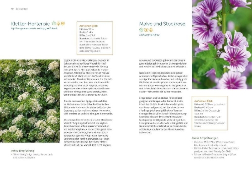 Buchcover und Innenansicht für das Buch: Der Nachtgarten